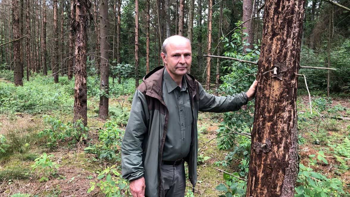 Thomas Weber, Vorstand des Waldbesitzerverbandes