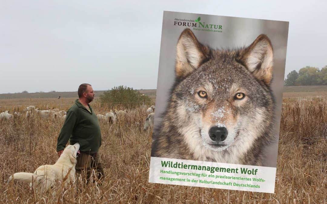 Neue Wege im Wolfsmanagement gehen!